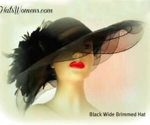 Black Special Occasion Fashion Hats