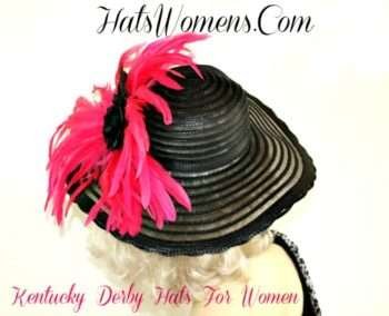 Horse Racing Hats, Wedding Hats, Wide Brim Hats, Feather Hats
